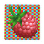 Raspberry Plaid magnets