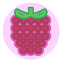 Raspberry stickers