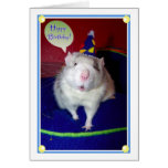 Rat Birthday Card