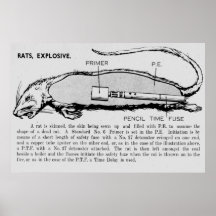Rat Bomb, Descriptive catalogue of Special Devices Posters
