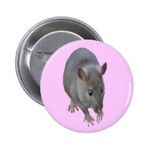 Rat Button