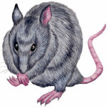 rat grooming sculpture photo sculptures