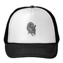 Rat Hat