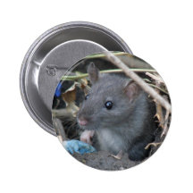 Rat in a hole Button
