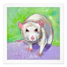 Rat lover art fun colourful pet listenin white rat invites