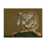 Rat Mad Paws Up Postcard