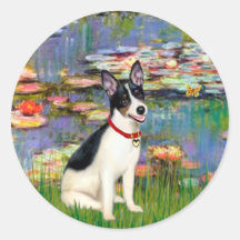 Rat Terrier - Lilies 2 Round Stickers