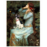 Rat Terrier - Ophelia Seated t-shirts