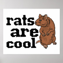 Rats Are Cool Print