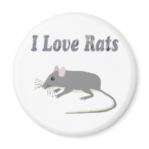 Rats Refrigerator Magnets