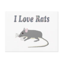 Rats Post Cards