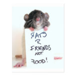Rats R Friends Not Food 2 Post Cards