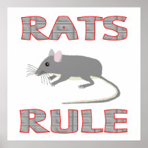 RATS RULE Poster