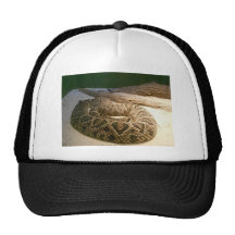 Rattle Snake Mesh Hat