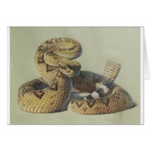 Rattlesnake Cards