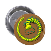Raupe caterpillar anstecknadelbuttons