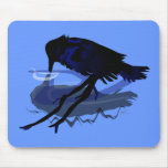 Raven Drinking Water with his Reflection mousepads