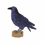 Raven embroidered shirts