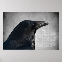 Raven Glamour Shot; 2013 Calendar Print