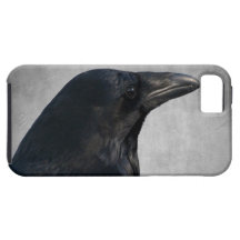 Raven Glamour Shot iPhone 5 Cover