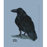 Raven II w/Poe quote t-shirts
