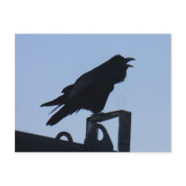 Raven in Silhouette, Unalaska Island Post Card
