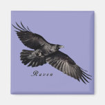 Raven Magnets