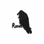 Raven on Raven Embroidered Sports Shirt embroidered shirts