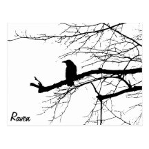 Raven on the Tree Post Card
