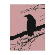 Raven on the Tree Post Cards
