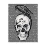 Raven Poe Postcard