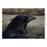 Raven Relief Greeting Card