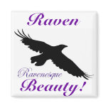 RAVEN Series IV magnets