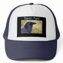RAVEN STUDY Collection Hats