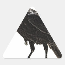 Raven Triangle Stickers
