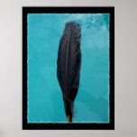 Raven's Feather posters