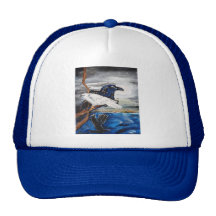 RAVENS HATS