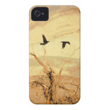 Ravens in Death Valley iPhone 4 Case-Mate Cases
