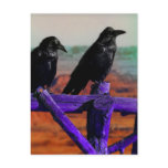 Ravens postcards