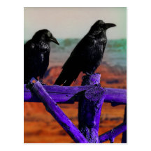 Ravens Postcard