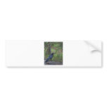 Raven's Respite Bumper Stickers