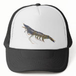 Raw black tiger prawn trucker hats
