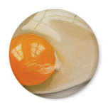 RAW EGG REALISM ARTWORK magnets