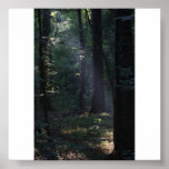 ray of hope posters