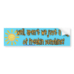 Ray Of Sunshine bumper stickers