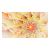 Raydianze AP-Cahm Profile Card