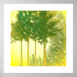 Rays of Hope 3 Trees Print