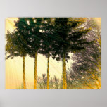 Rays of Hope Poster