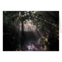 Rays of Light Card cards