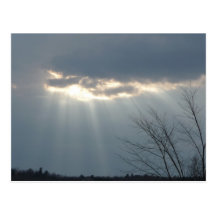 Rays of Sunshine Postcards